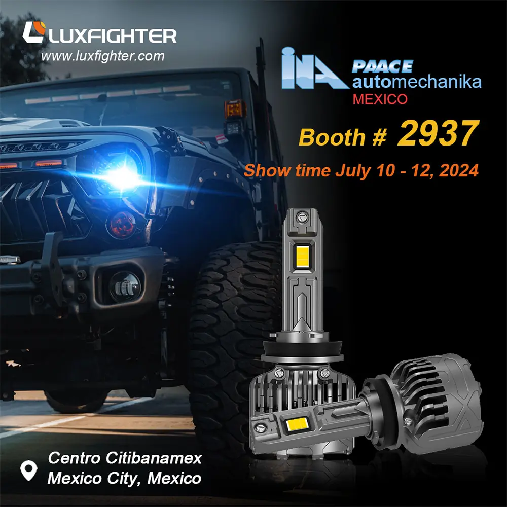 Carr Luxfighter faoi stiúir ceannlampa 2024 Meicsiceo Ina Paace